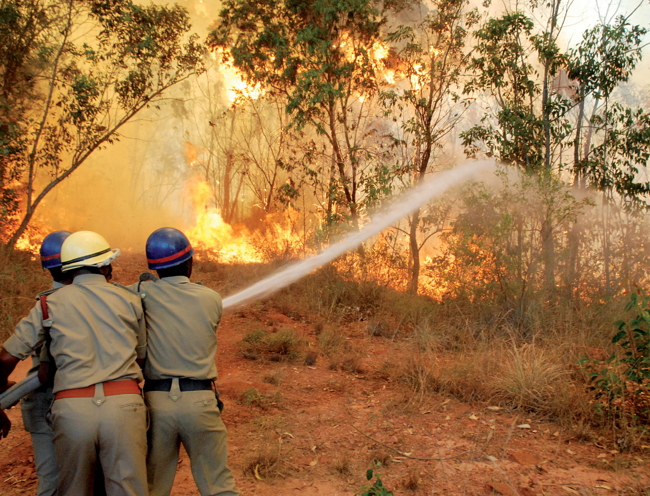 The Tirumala Fire